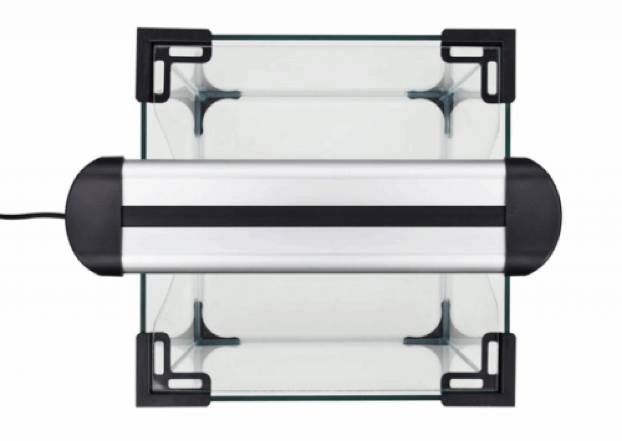 LED Intenso Farbe